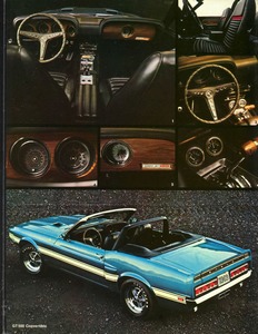 1969 Shelby Mustang GT-05.jpg